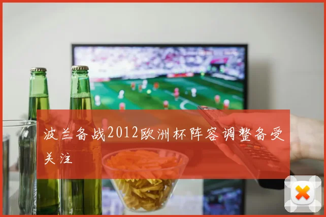 波兰备战2012欧洲杯阵容调整备受关注