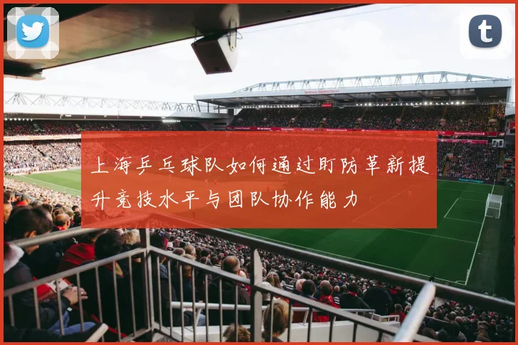 上海乒乓球队如何通过盯防革新提升竞技水平与团队协作能力